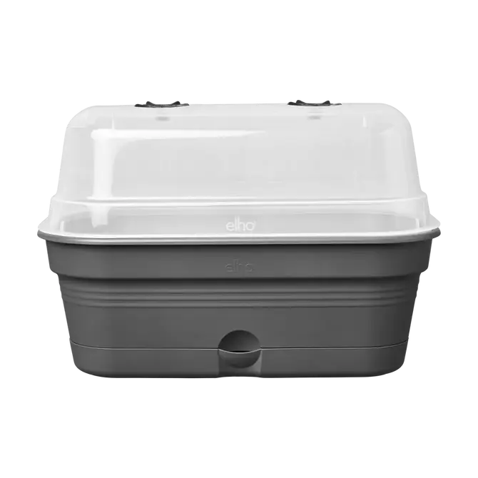 Green basics kweektray allin1 l 39cm liv bl zij, Elho, tuincentrumoutlet