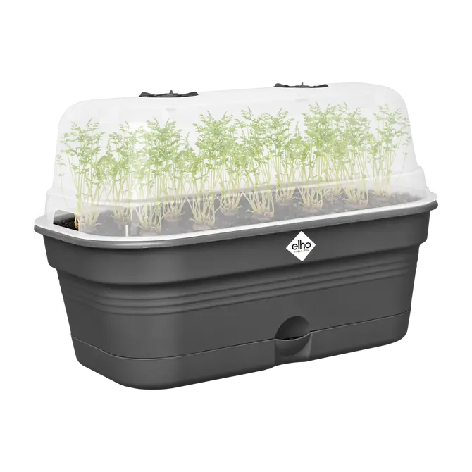 Green basics kweektray allin1 m 32cm liv bl sfeer, Elho, tuincentrumoutlet