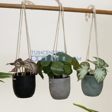 Hangpot nevada d13h12.5cm zwart sfeervol, HS potterie, Tuincentrum Outlet