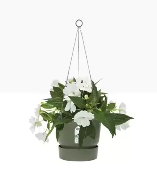 Hangschaal greenville - 24 cm groen - afbeelding 2