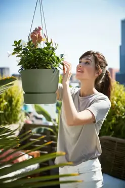 greenville hanging basket 24cm blad groen, Elho, tuincentrumoutlet