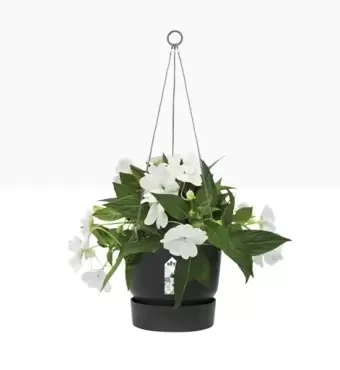 Hangschaal greenville - 24 cm zwart - afbeelding 2