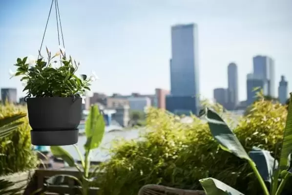 Hangschaal greenville - 24 cm zwart - afbeelding 4