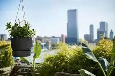 Hangschaal greenville - 24 cm zwart - afbeelding 4