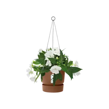 greenville hanging basket 24cm gemberbruin potplant, Elho, tuincentrumoutlet