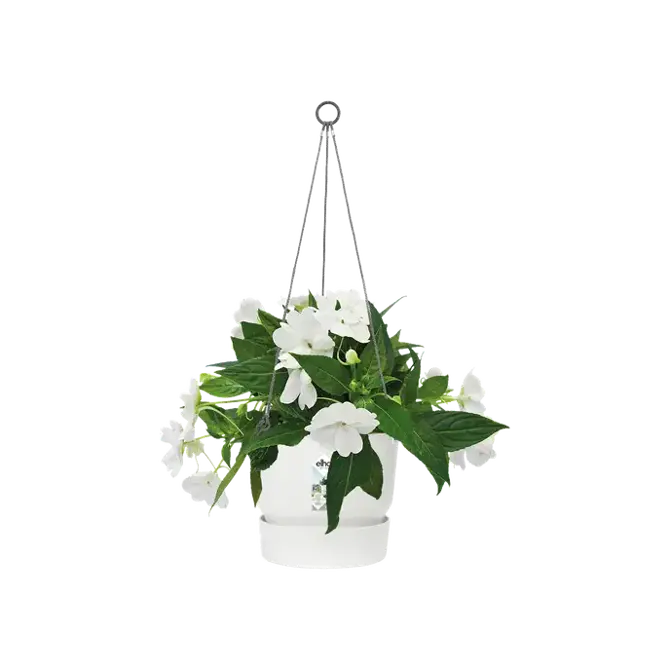 greenville hanging basket 24cm wit plantpot, Elho, tuincentrumoutlet
