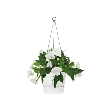 greenville hanging basket 24cm wit plantpot, Elho, tuincentrumoutlet