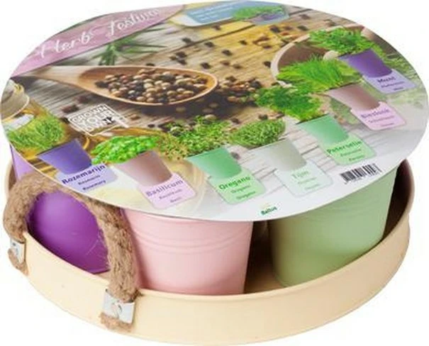 Herb festival pastel pot+7srt kruid, Baltus, TuincentrumOutlet