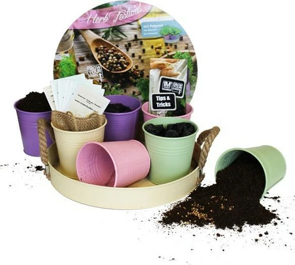 Herb festival pastel pot+7srt kruid sfeer, Baltus, TuincentrumOutlet