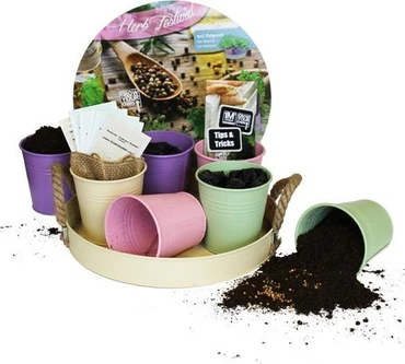 Herb festival pastel pot+7srt kruid sfeer, Baltus, TuincentrumOutlet