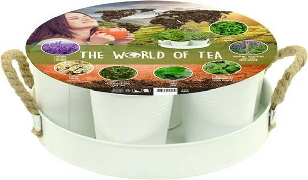 Herb festival world of tea wit 7st