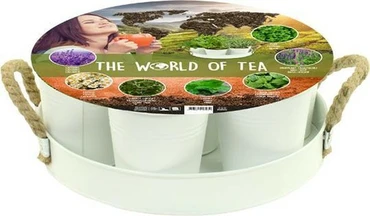 Herb festival world of tea wit 7st, Baltus, Tuincentrum Outlet