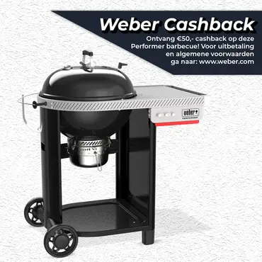 Houtskool bbq performer 57cm