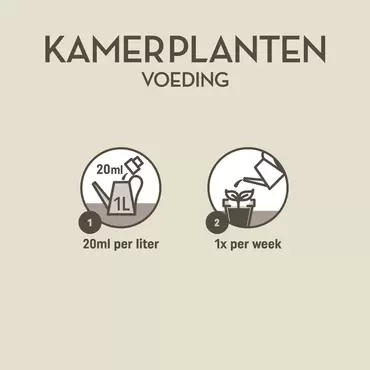 Kamerplanten 1000ml - gebruiksaanwijzing - tuincentrumoutlet