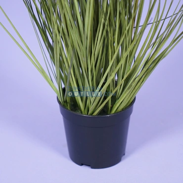 Kattenstaart gras h49.5cm groen 1.3, Noach outdoor www.tuincentrumoutlet.com