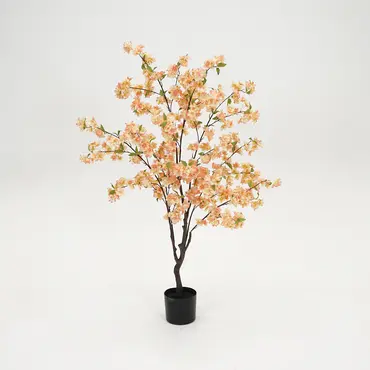 Kersenbloesemboom h135cm perzik