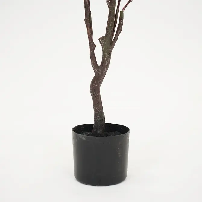 Kersenbloesemboom h135cm perzik - afbeelding 3