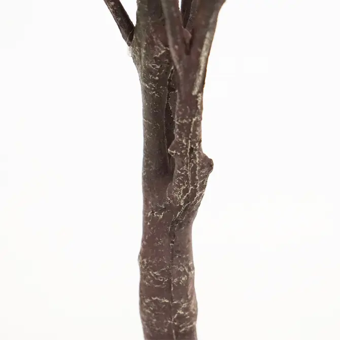 Kersenbloesemboom h135cm roze stam, Emerald Eternal Green B.V., tuincentrumoutlet.com