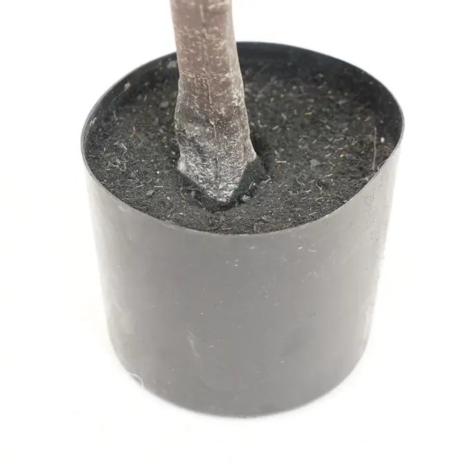 Kersenbloesemboom h135cm roze pot, Emerald Eternal Green B.V., tuincentrumoutlet.com