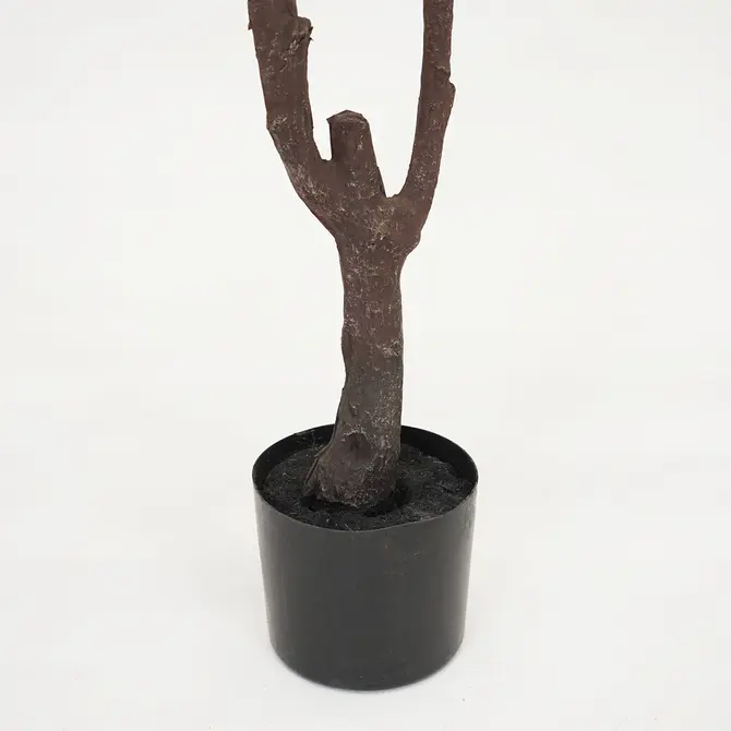 Kersenbloesemboom h210cm perzik - afbeelding 3