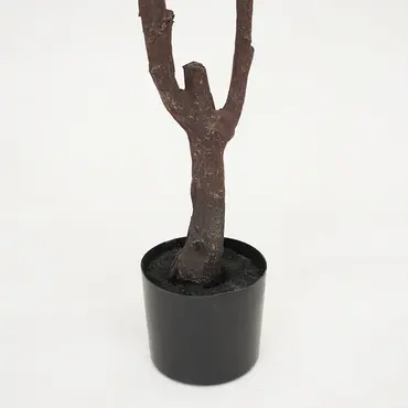 Kersenbloesemboom h210cm perzik - afbeelding 3