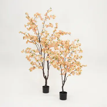 Kersenbloesemboom h210cm perzik - afbeelding 4