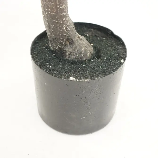 Kersenbloesemboom h210cm wit pot, Emerald Eternal Green B.V., tuincentrumoutlet.com