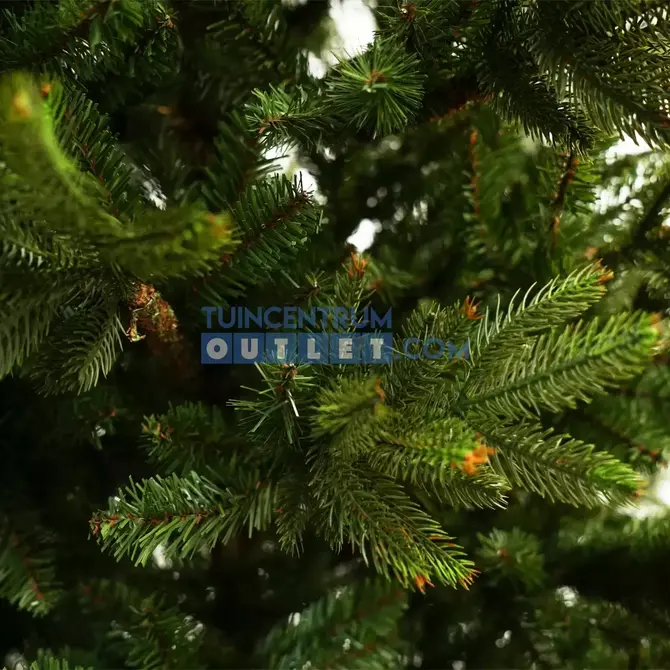 Kerstboom Brampton h185 d114 cm - groen detail, Edelman, tuincentrumoutlet