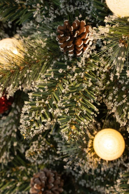 Kerstboom kaprun 10l b/o/t h60 frst - afbeelding 2