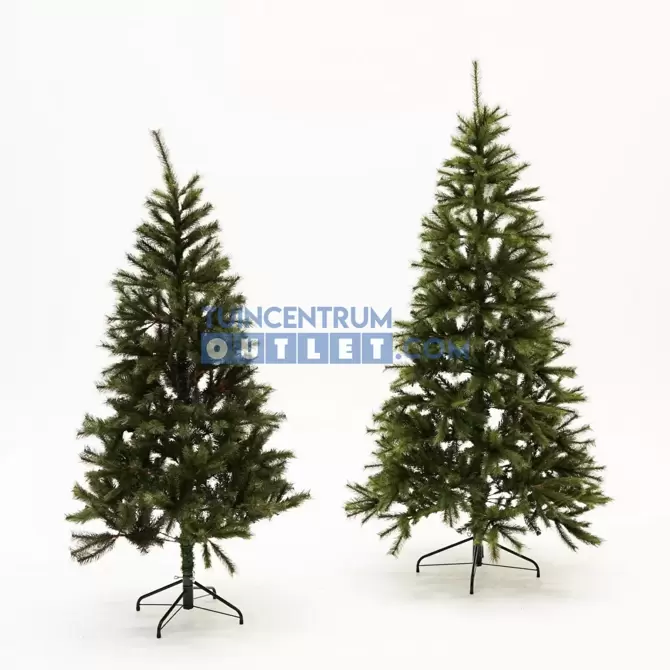 Kingston kersboom, alle maten, tuincentrumoutlet.com