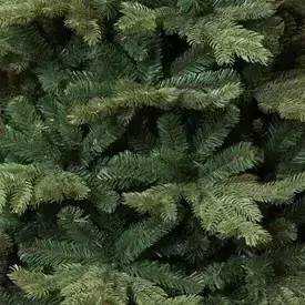Kerstboom sherwood d109 h185cm groen - afbeelding 4