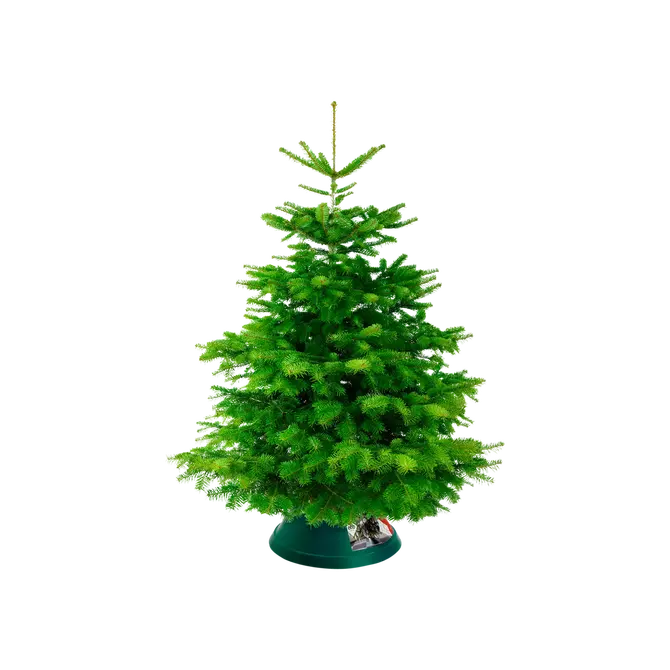 Kerstboomstandaard oslo d38cm groen sfeer, Elho, tuincentrumoutlet.com