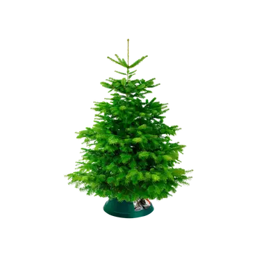 Kerstboomstandaard oslo d38cm groen sfeer, Elho, tuincentrumoutlet.com