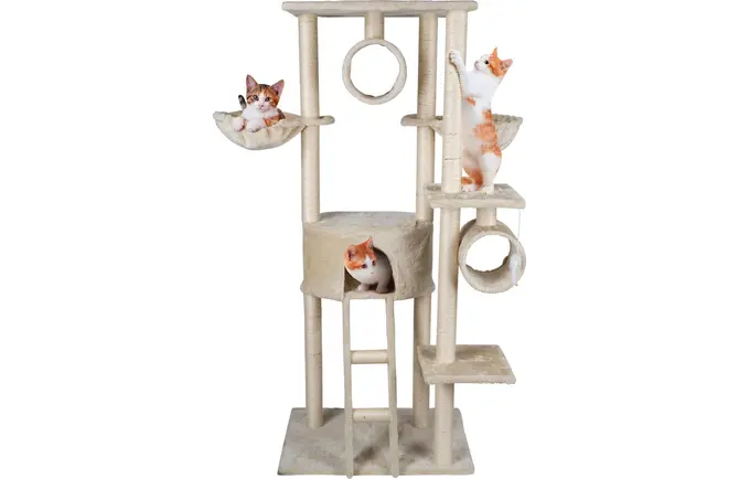 Krabpaal pet comfort 165x50x70cm beige sfeerfoto, EBI, tuincentrumoutlet