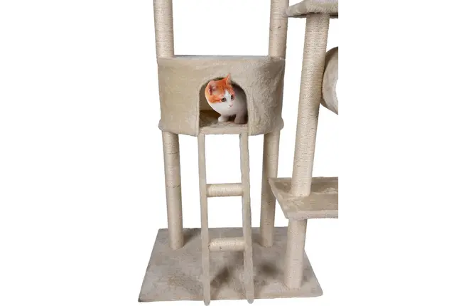 Krabpaal pet comfort 165x50x70cm beige detail, EBI, tuincentrumoutlet