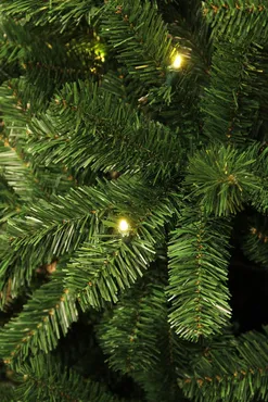 Kerstboom charlton d135h230cm grn, Black Box, Tuincentrumoutlet