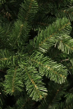 Kerstboom charlton d135h230cm groen, Black box, Tuincentrumoutlet