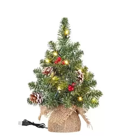 Kerstboom Creston, Black Box Trees, tuincentrumoutlet