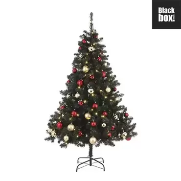 Kerstboom Fynn, Black Box Trees, tuincentrumoutlet