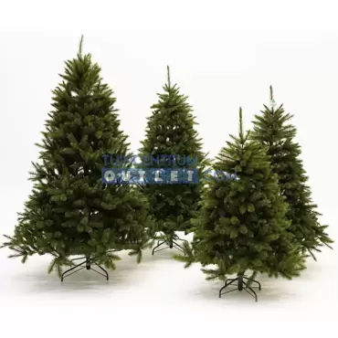 forest frosted green, alle maten, www.tuincentrumoutlet.com