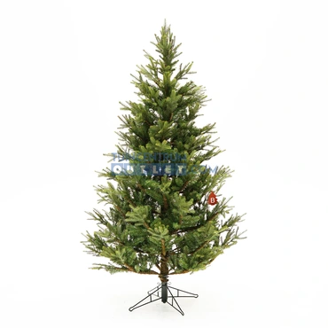 Kerstboom Frasier, Black Box Trees, tuincentrumoutlet