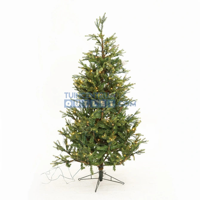 Frasier kerstboom led groen 288L TIPS 1880 - h185xd124cm, Black Box Trees, tuincentrumoutlet