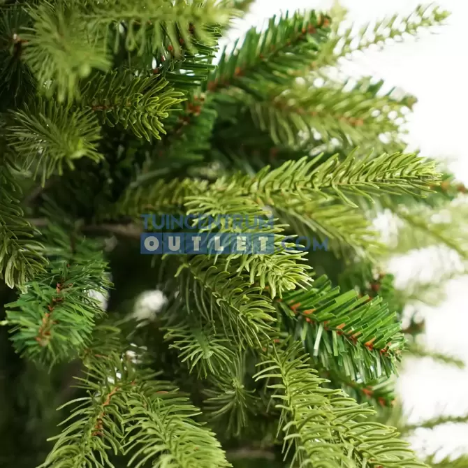 Kerstboom frasier groen, close up, www.tuincentrumoutlet.com