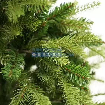 Kerstboom frasier groen, close up, www.tuincentrumoutlet.com