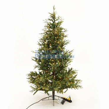 Frasier kerstboom led groen 408L TIPS 2688 - h215xd145cm, Black Box Trees, tuincentrumoutlet