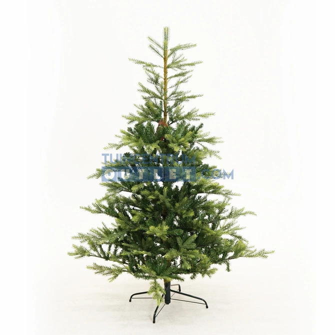 Grandis fir l180cm groen, Everlands, tuincentrumoutlet