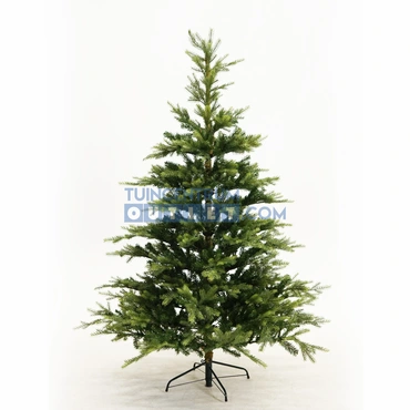 Grandis fir l210cm groen, Everlands, tuincentrumoutlet