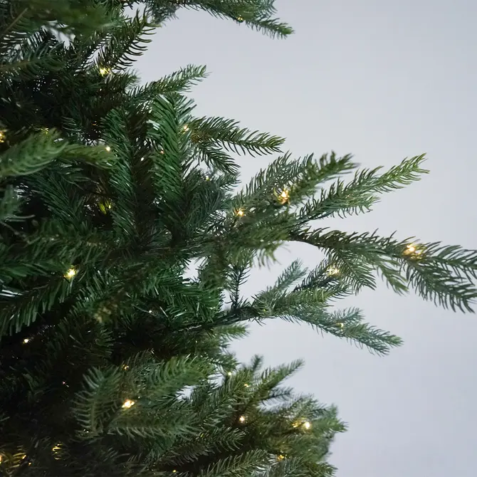 Grandis microled h240cm 700l gn/wwt, Everlands, Tuincentrumoutlet