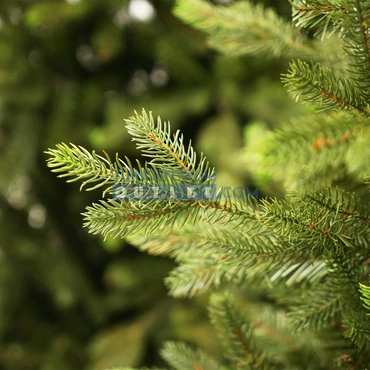 Kerstboom macallan d104h155cm groen, edelman, tuincentrumoutlet, foto 2