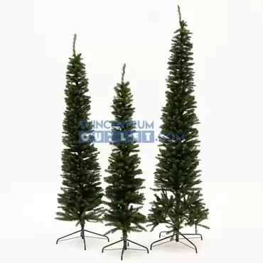 Kerstboom Pencil pine h210cm groen www.tuincentrumoutlet.com